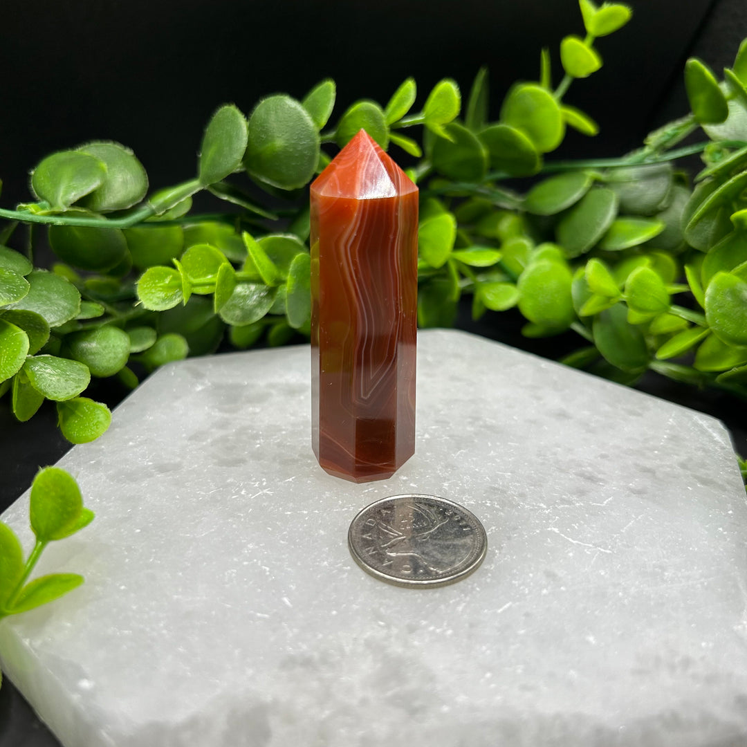 Carnelian Polished Point (#8)