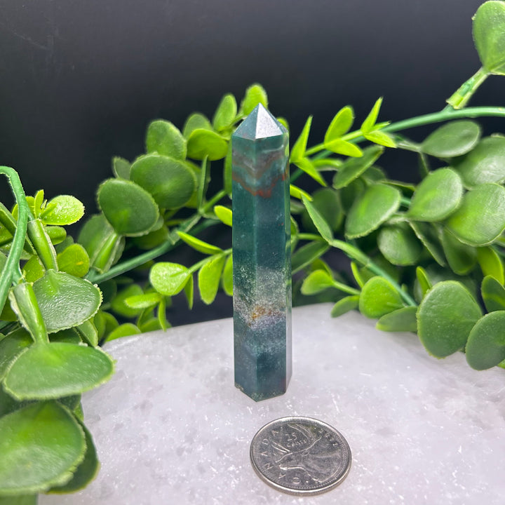 Bloodstone Polished Point(#2)