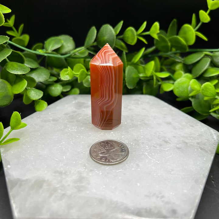 Carnelian Polished Point (#4)