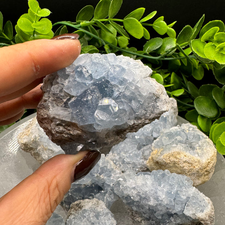 Celestite Geode Chunks (M)