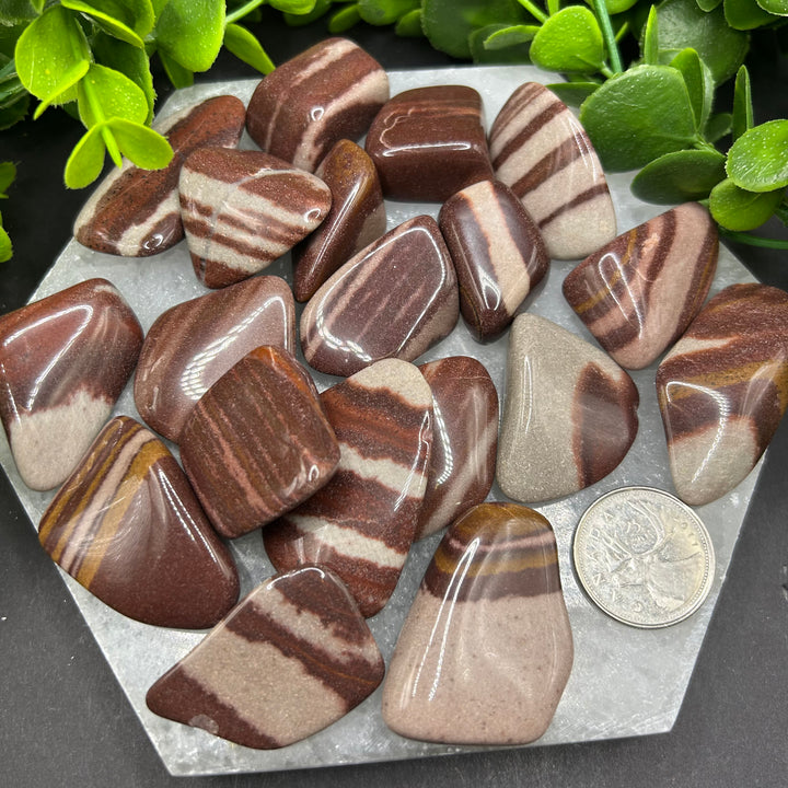 Shiva Lingam Tumbled Stones