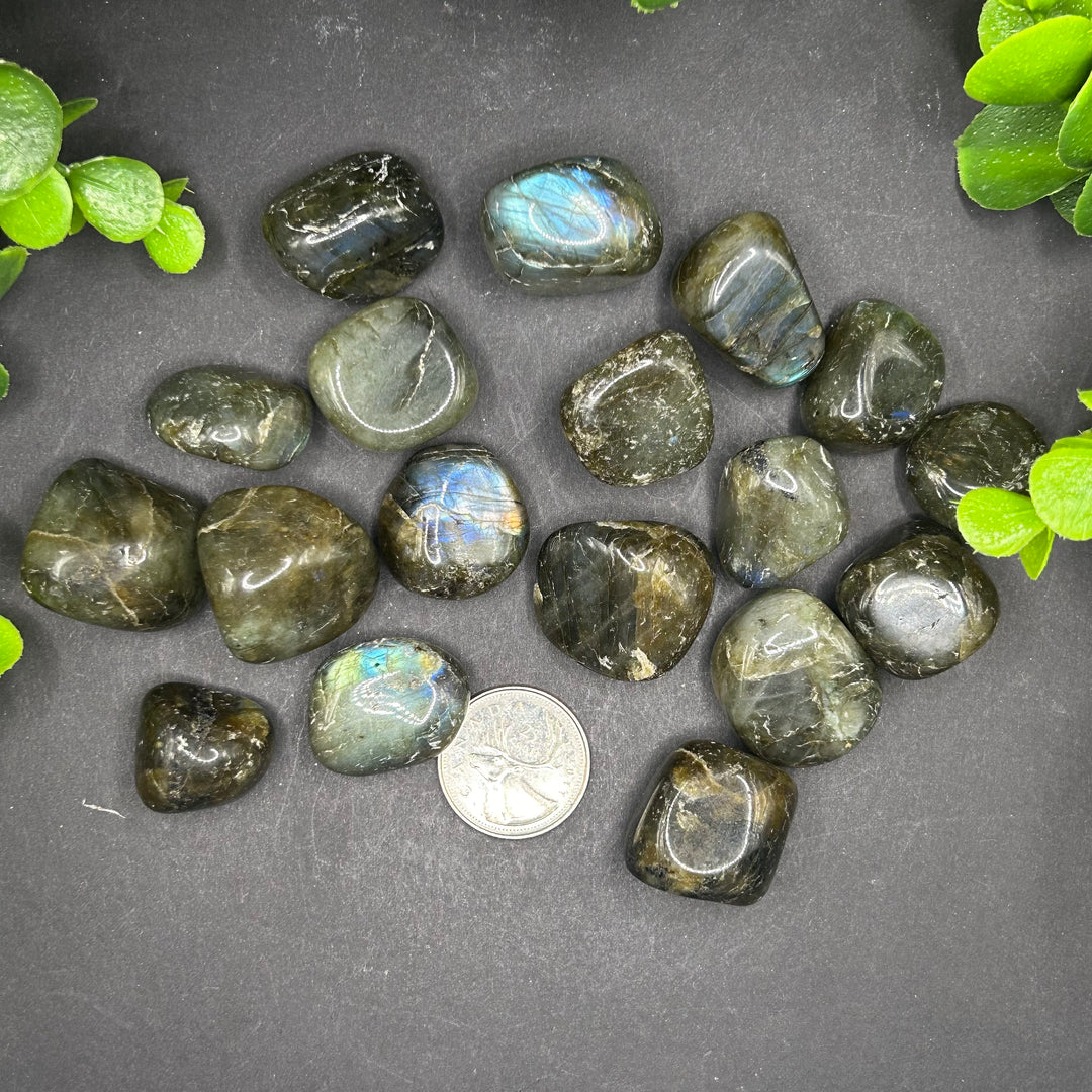 Labradorite Tumbled