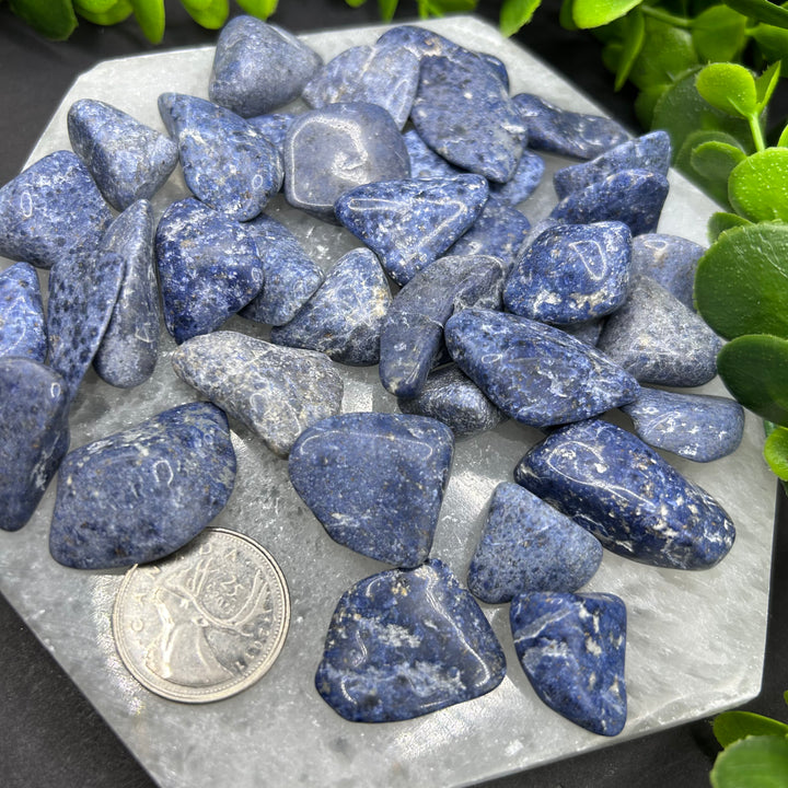 Dumortierite Tumbled