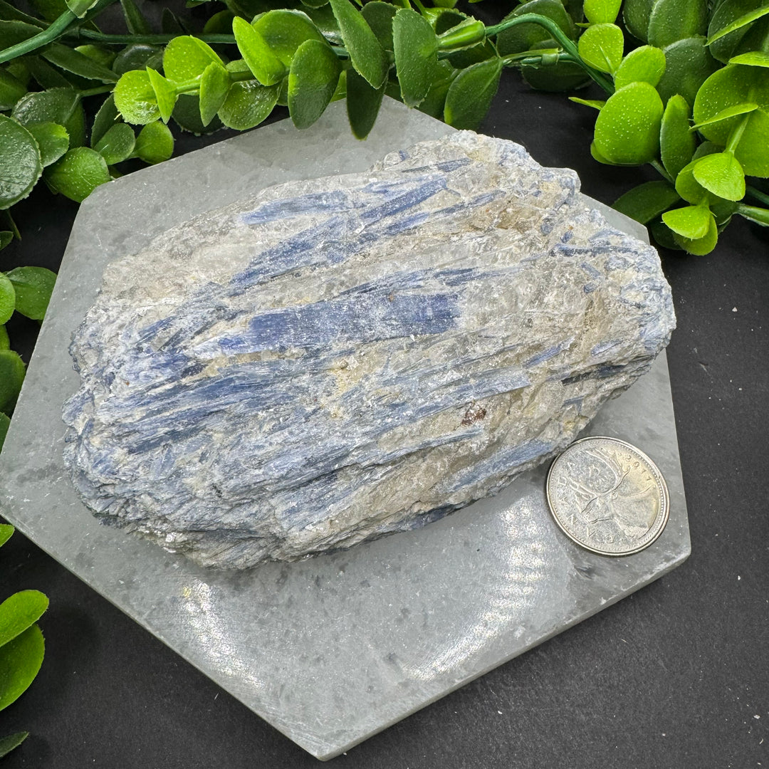 Blue Kyanite Cluster #10