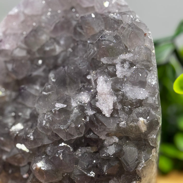 Amethyst Standing Cluster #1