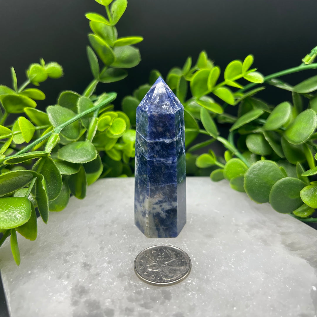 Sodalite Polished Point (#4)