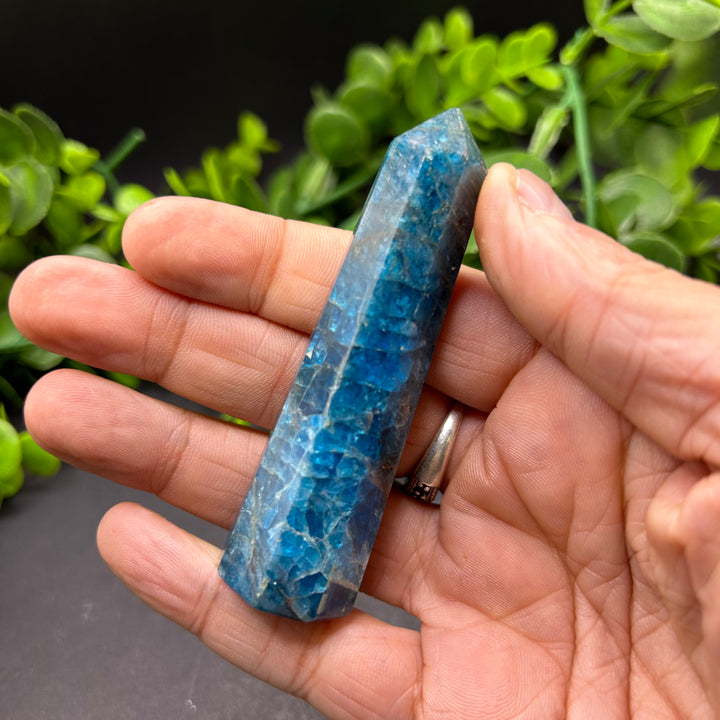 High Quality Blue Apatite Polished Point (#3)