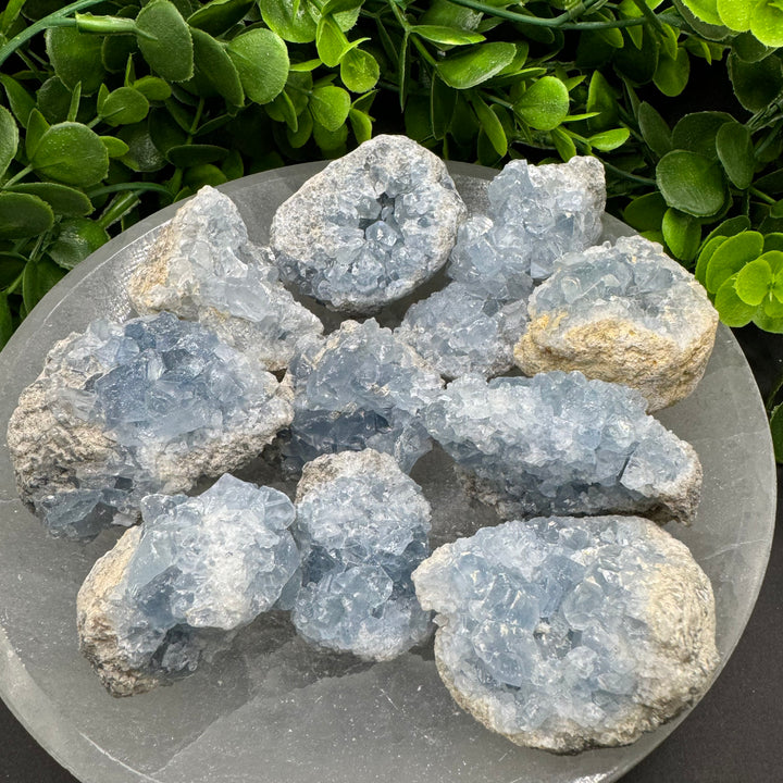 Celestite Geode Chunks (M)