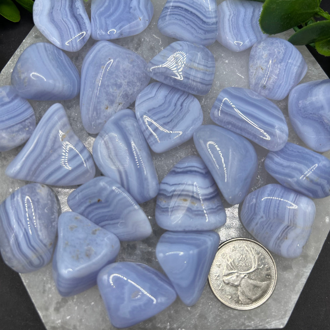 Blue Lace Agate Tumbled Healing Stone