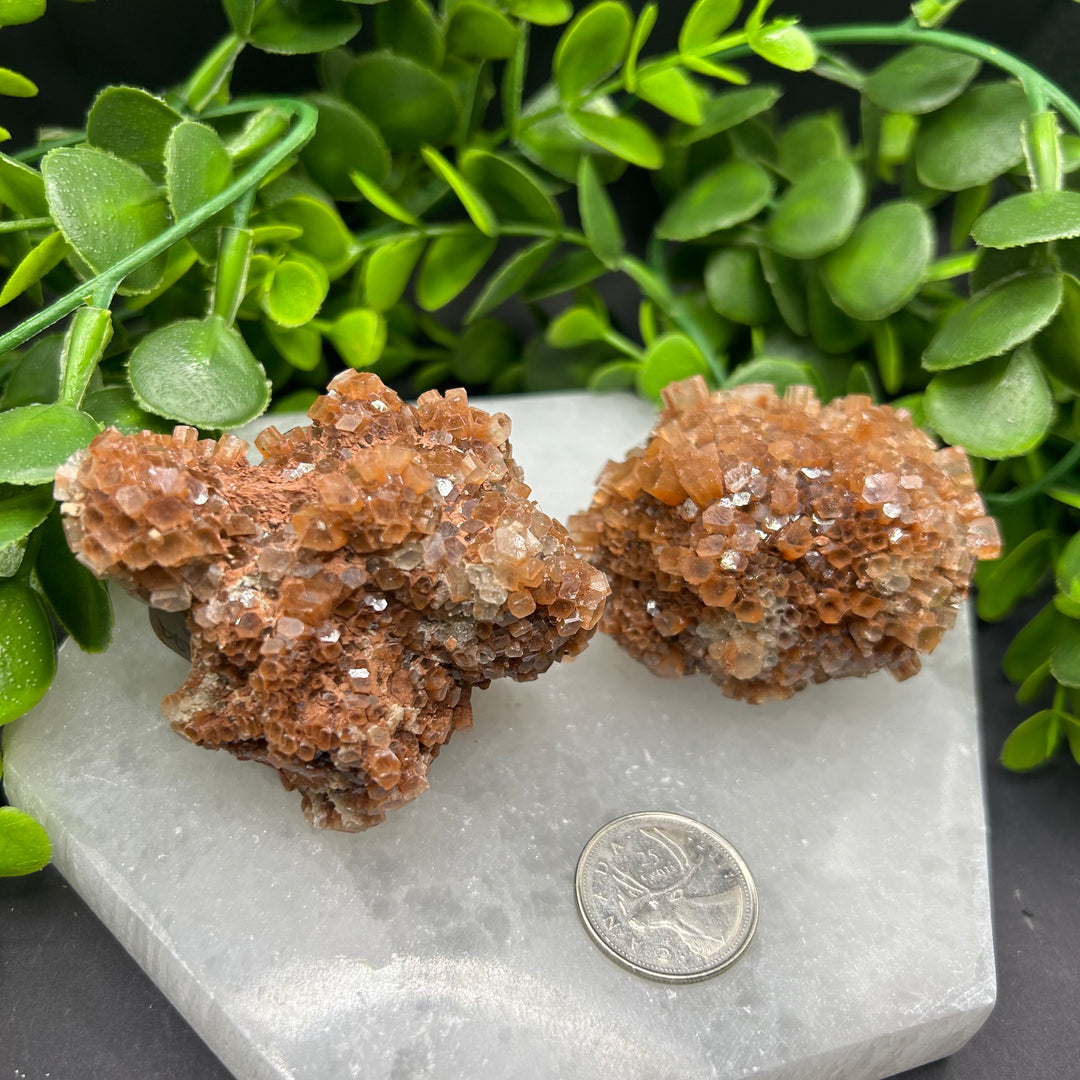 Aragonite Clusters (L)