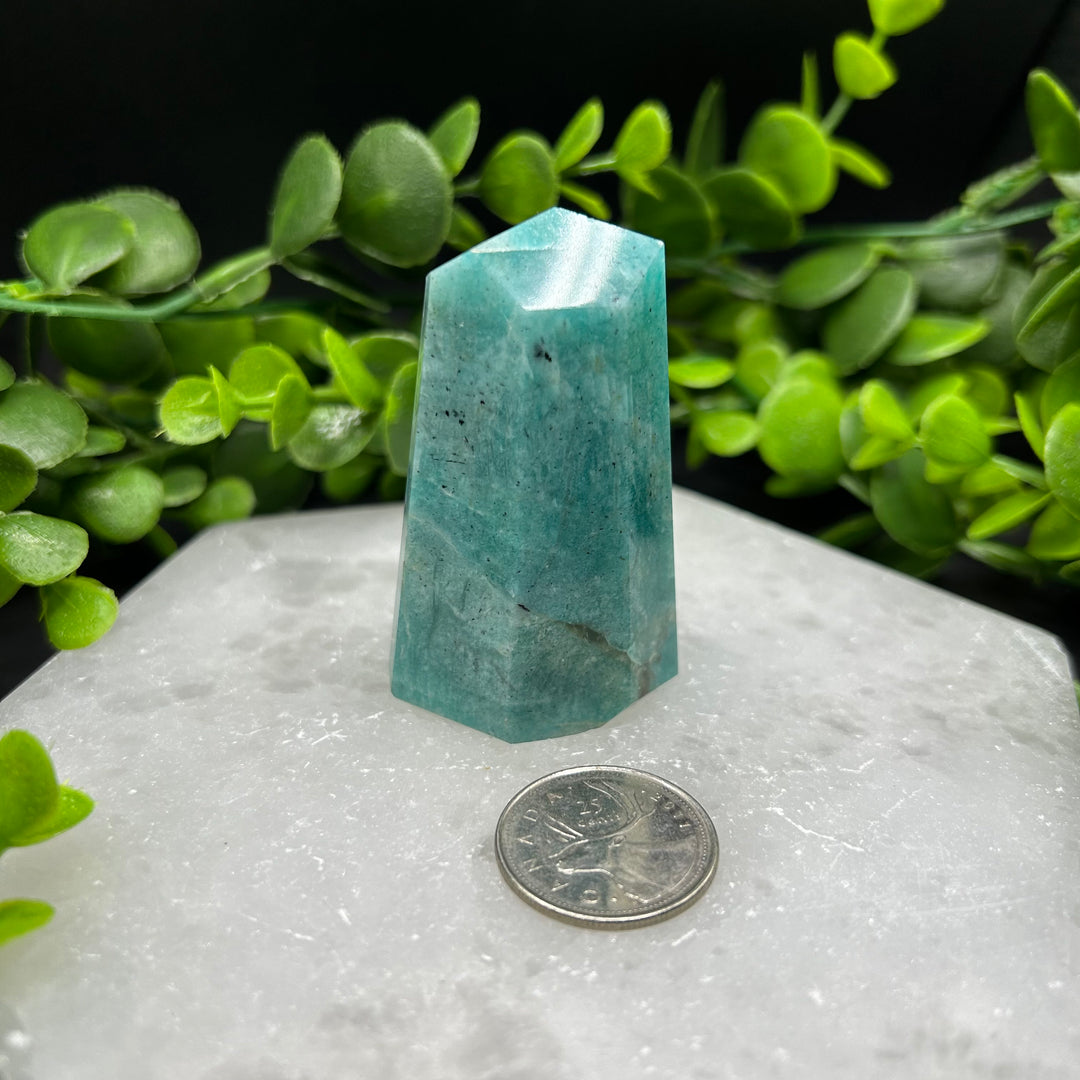 Amazonite Polished Point (#2)