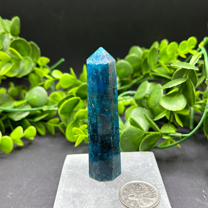 High Quality Blue Apatite Polished Point (#1)