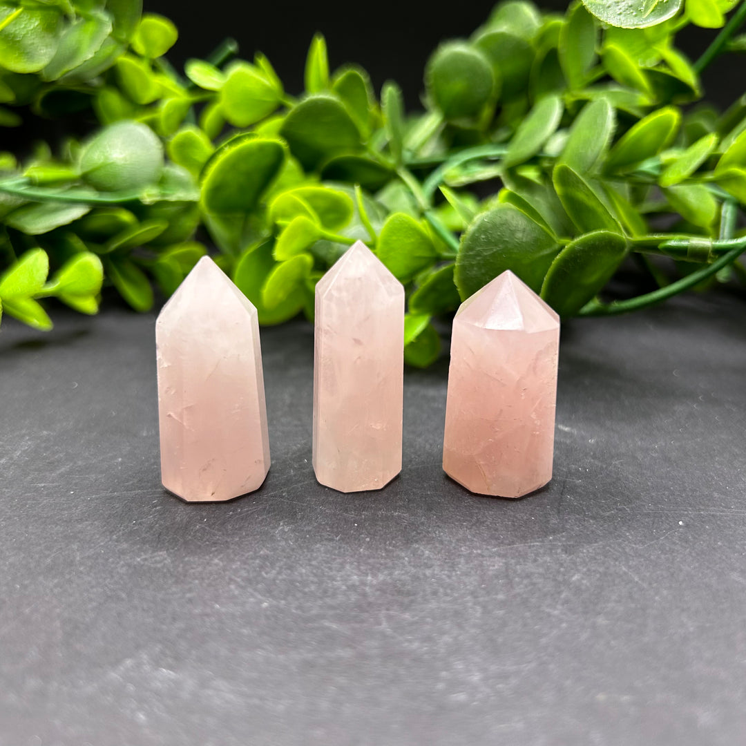 Rose Quartz Polished Mini Points