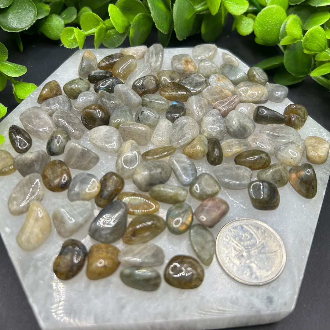 Labradorite Tumbled (XS)