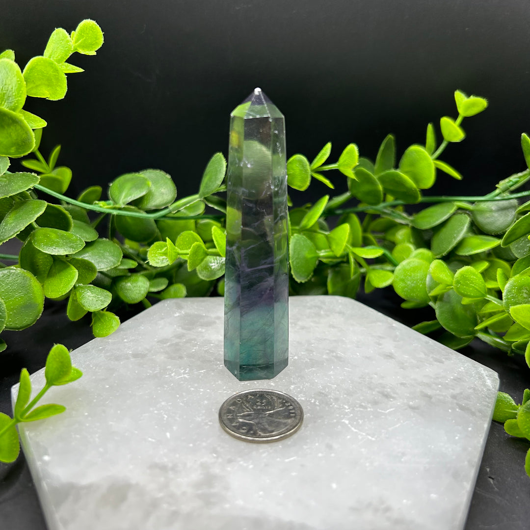 Fluorite Polished Point (#2)