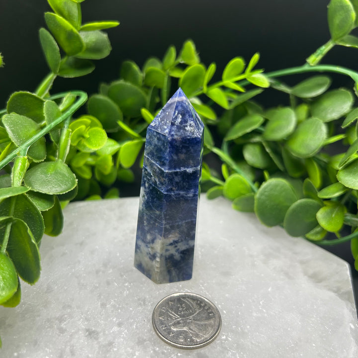 Sodalite Polished Point (#4)