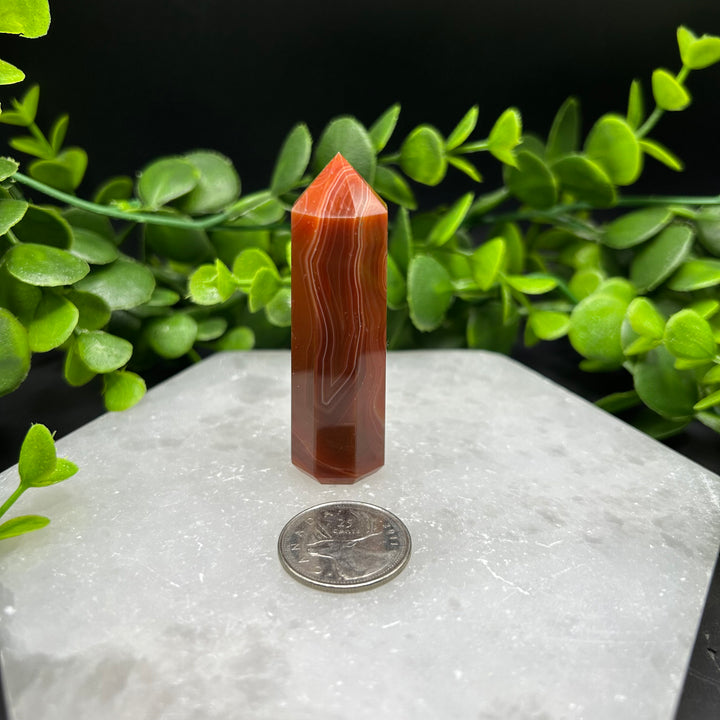 Carnelian Polished Point (#8)