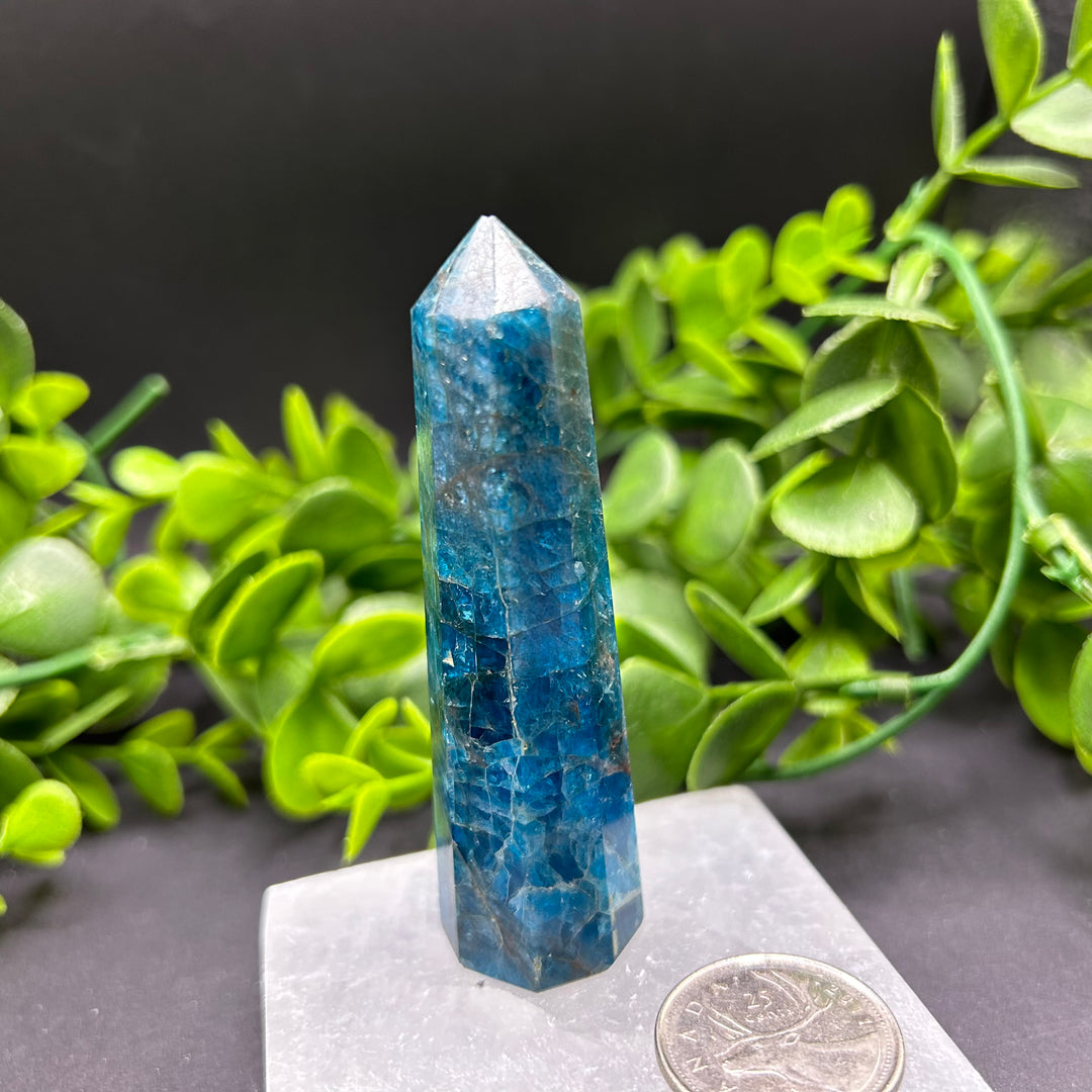 High Quality Blue Apatite Polished Point (#3)