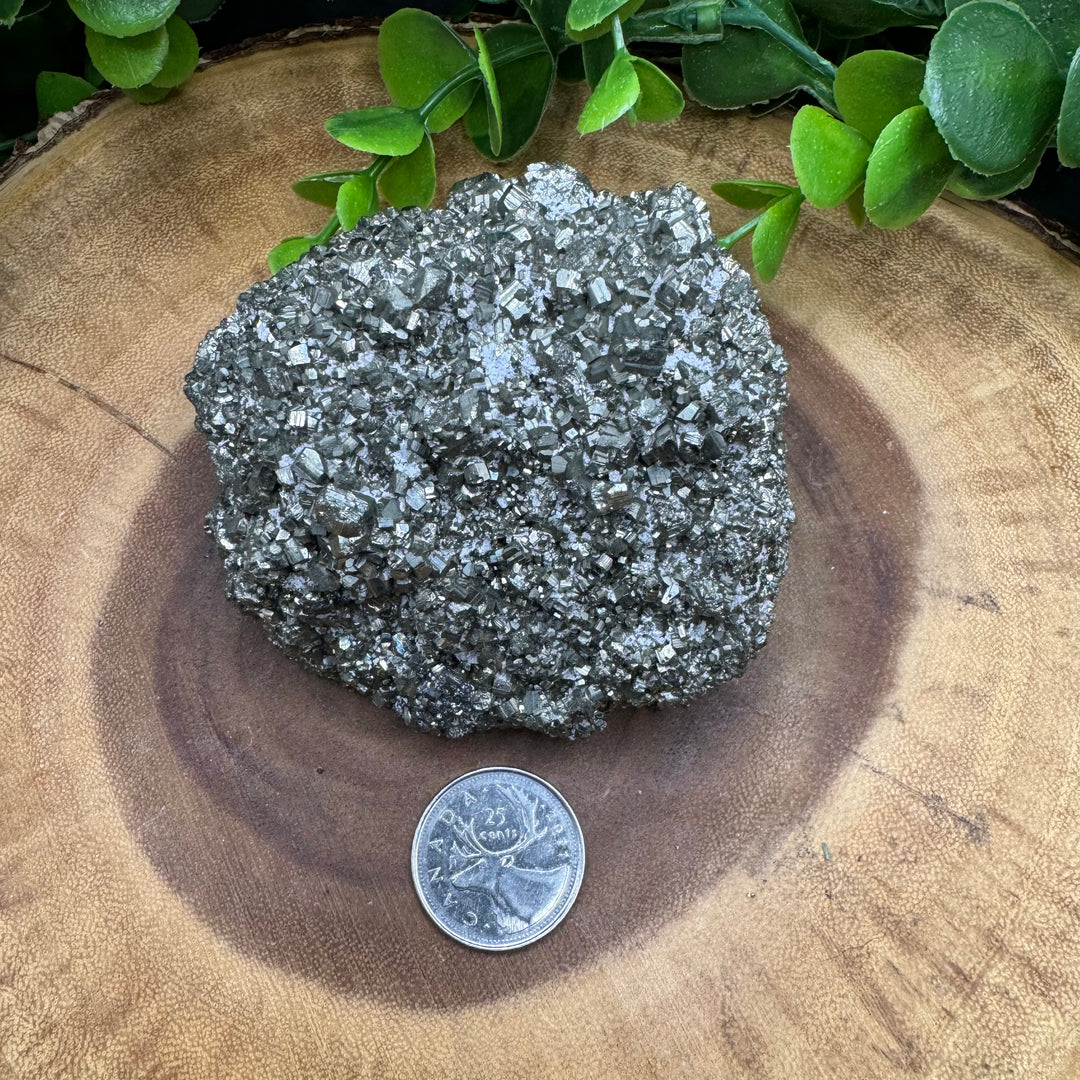 Pyrite Cluster #1 - 566g