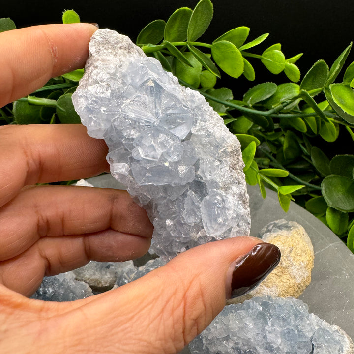 Celestite Geode Chunks (M)