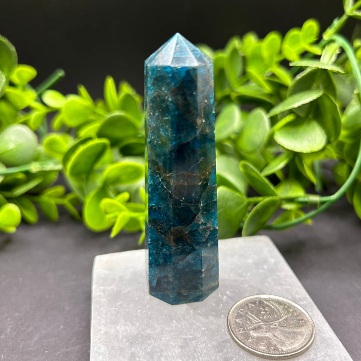 High Quality Blue Apatite Polished Point (#2)