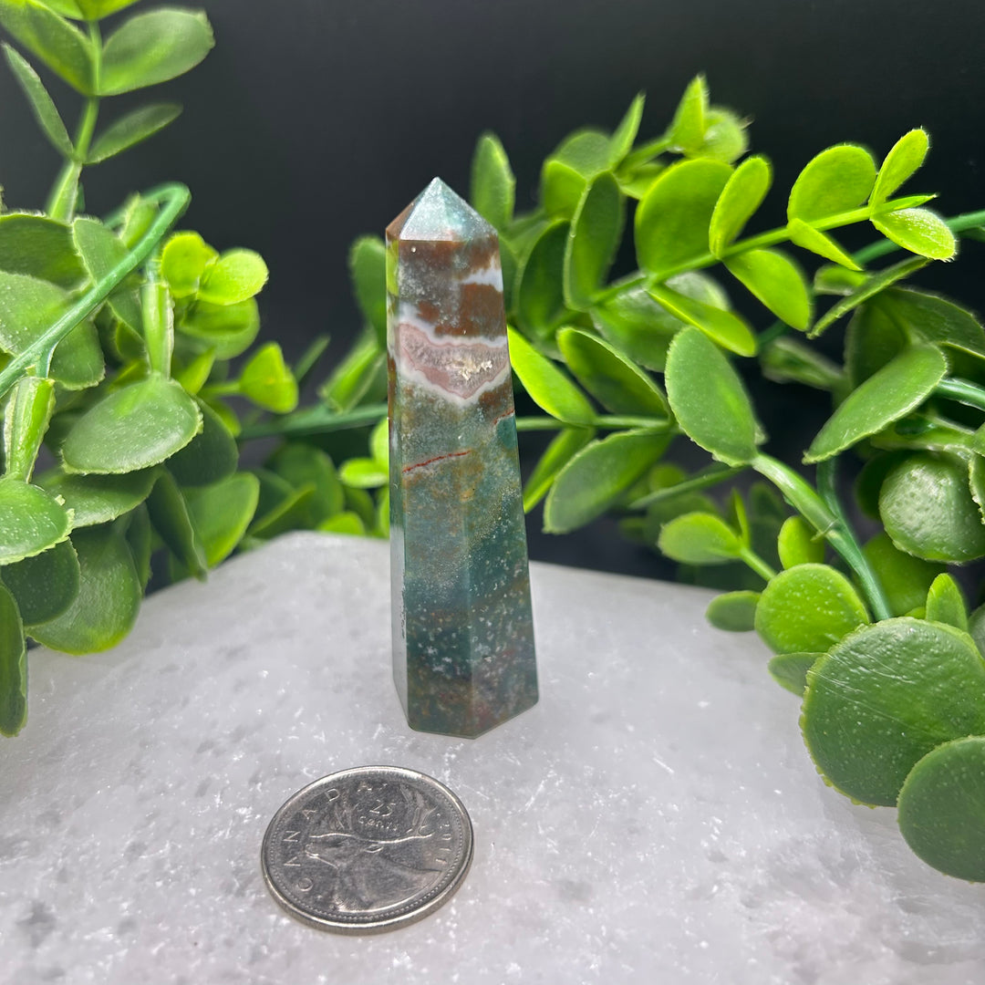 Bloodstone Polished Point(#3)