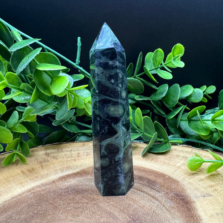 Kambaba Jasper Polished Point #3