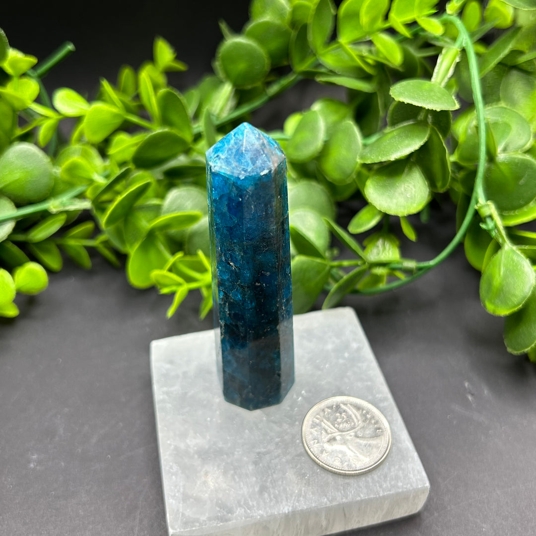 High Quality Blue Apatite Polished Point (#1)