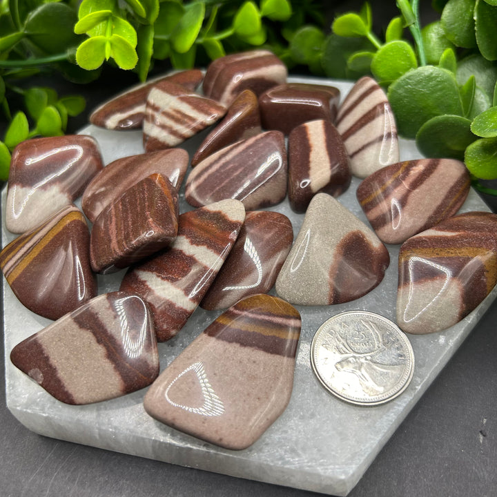 Shiva Lingam Tumbled Stones