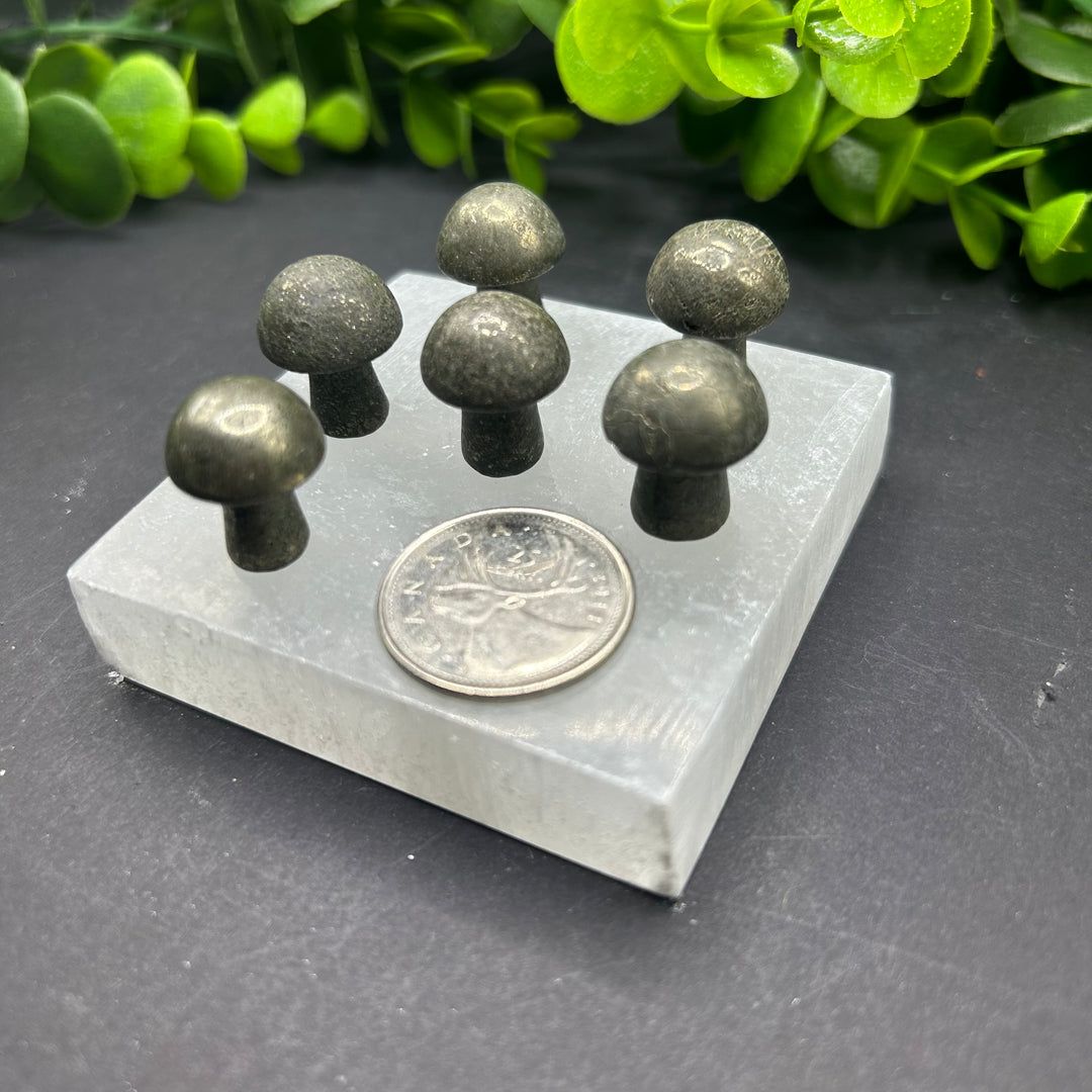 Pyrite Mini Mushroom