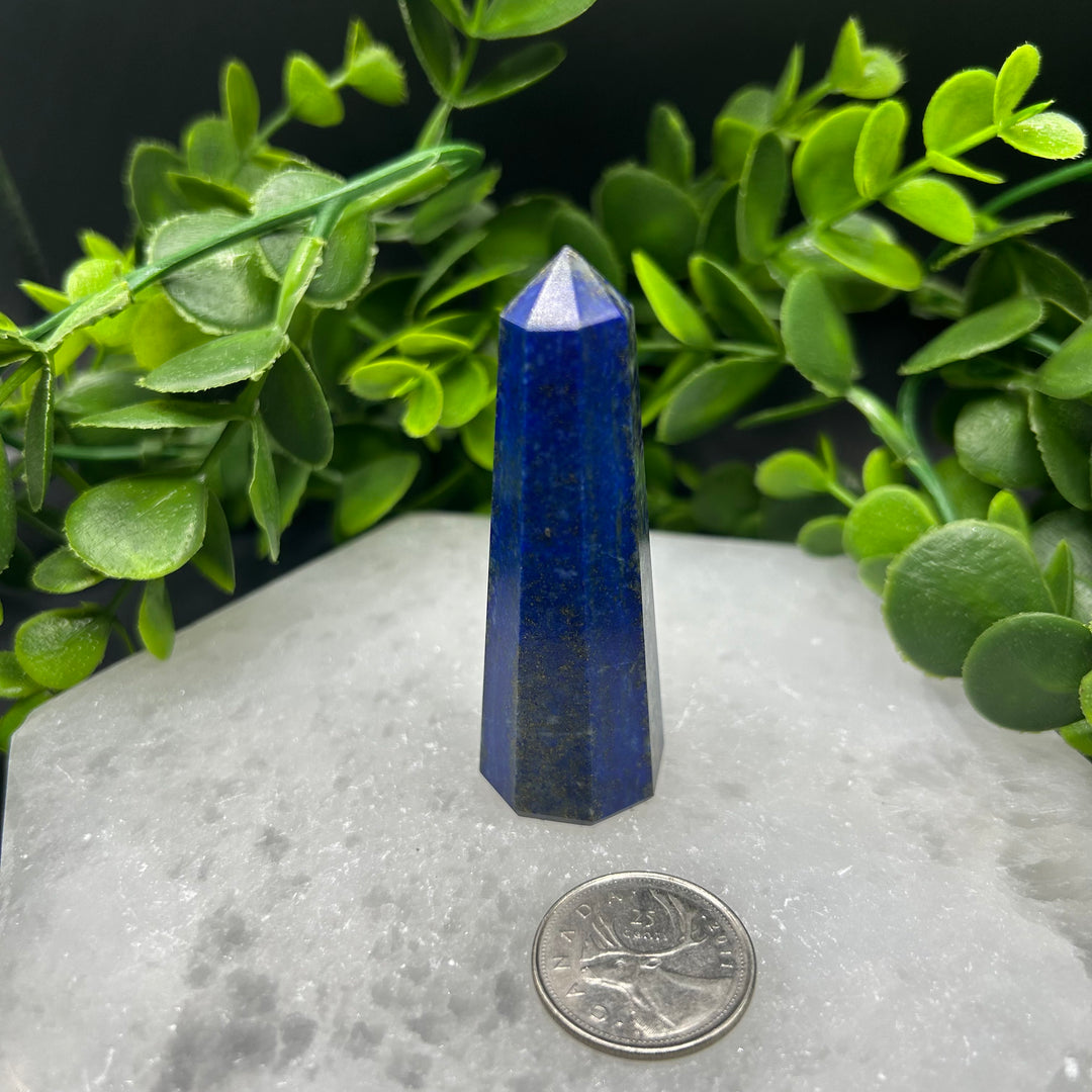 Lapis Lazuli Polished Point (#5)