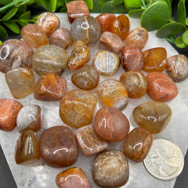 Red Fire Agate Tumbled