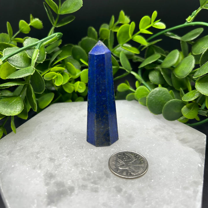 Lapis Lazuli Polished Point (#5)