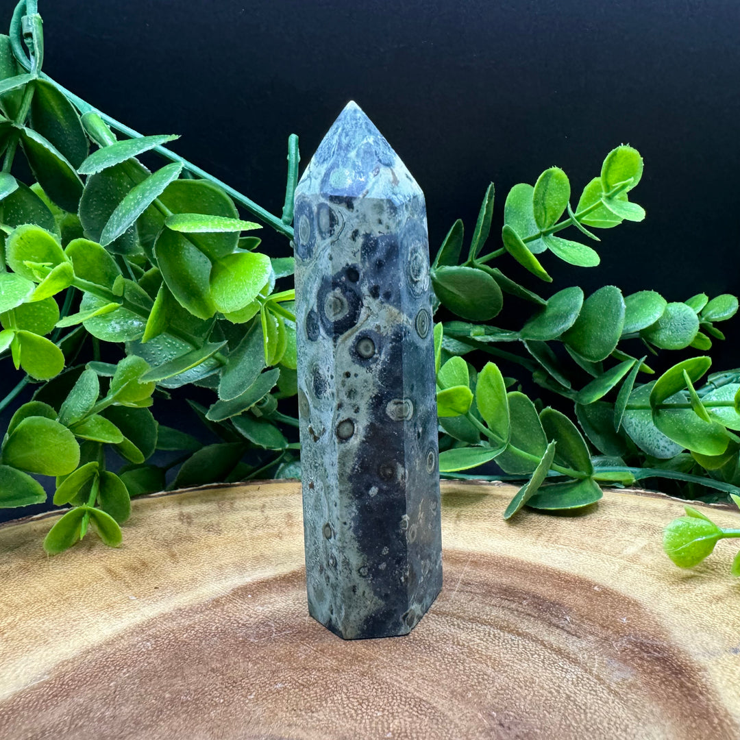 Kambaba Jasper Polished Point #4