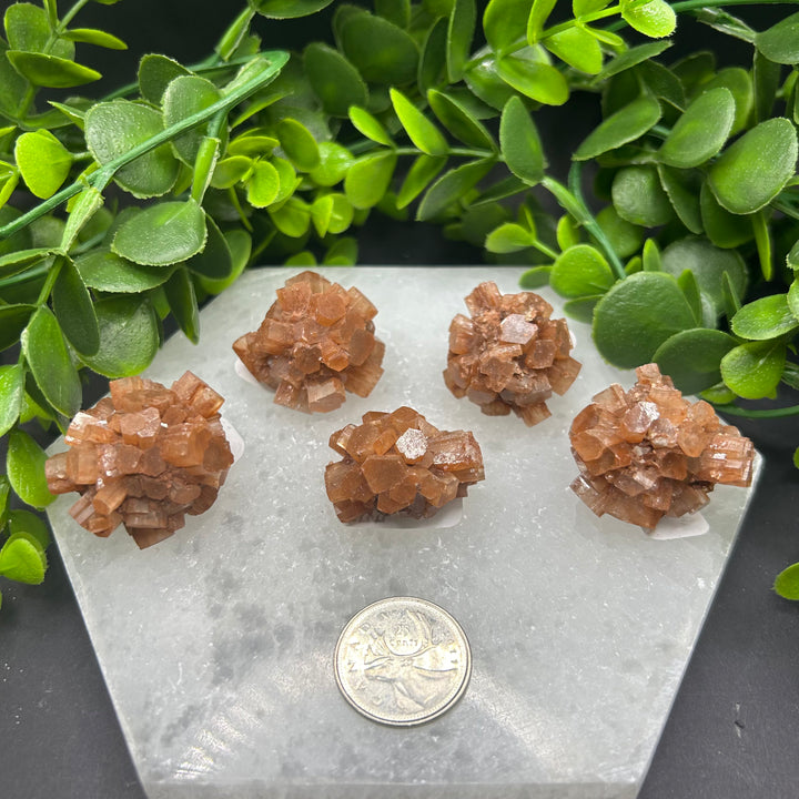 Aragonite Clusters (S)