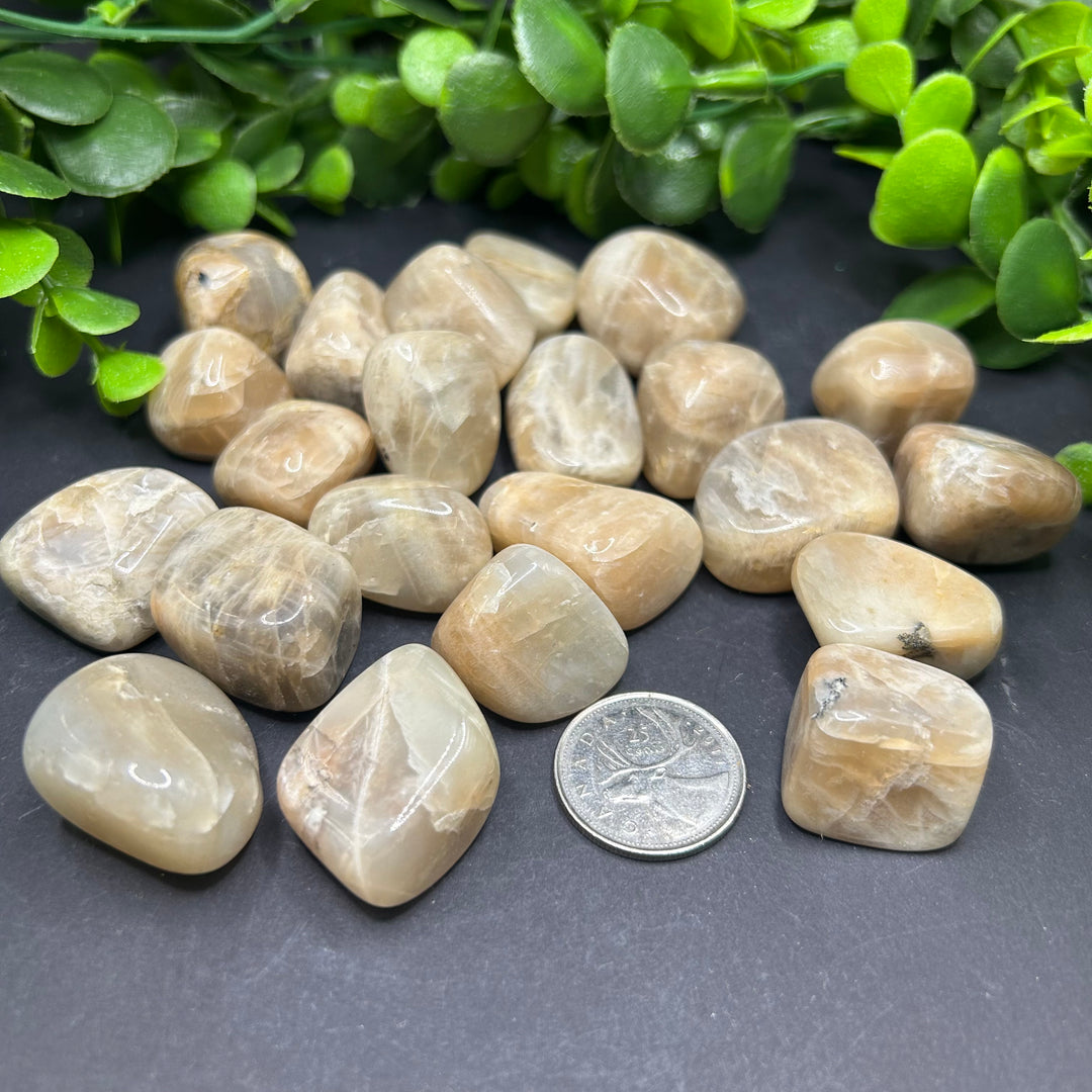 Moonstone Tumbled