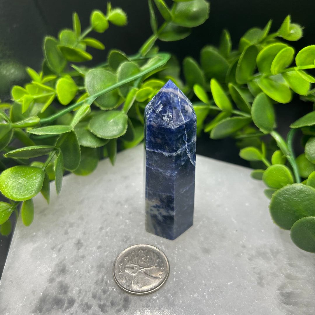 Sodalite Polished Point (#4)