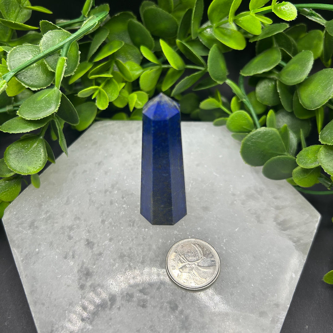 Lapis Lazuli Polished Point (#5)