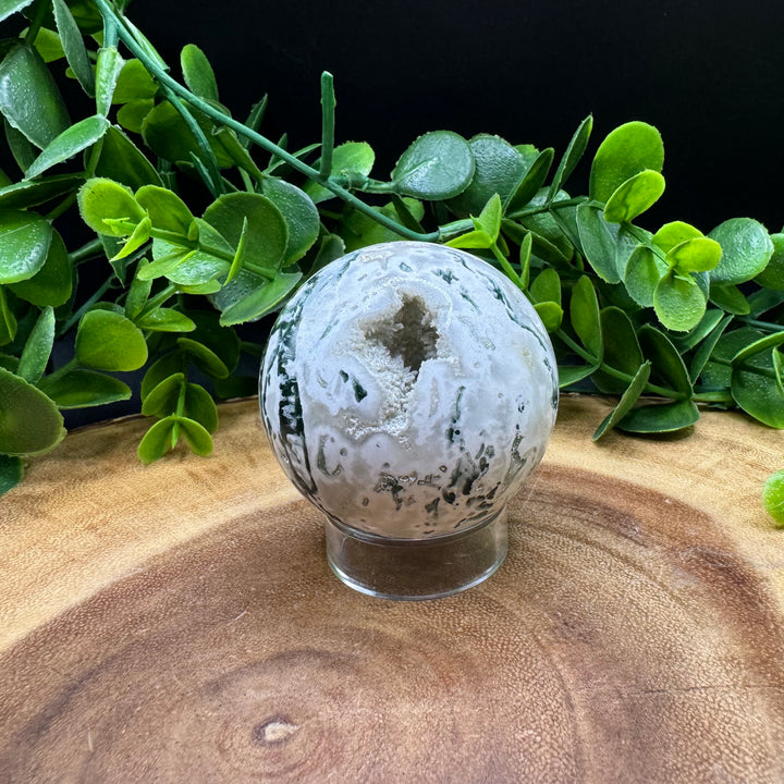 Tree Agate Sphere 45mm