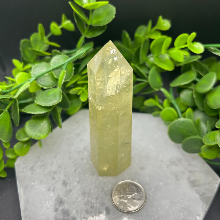 Lemon Quartz Polished Point (#1)