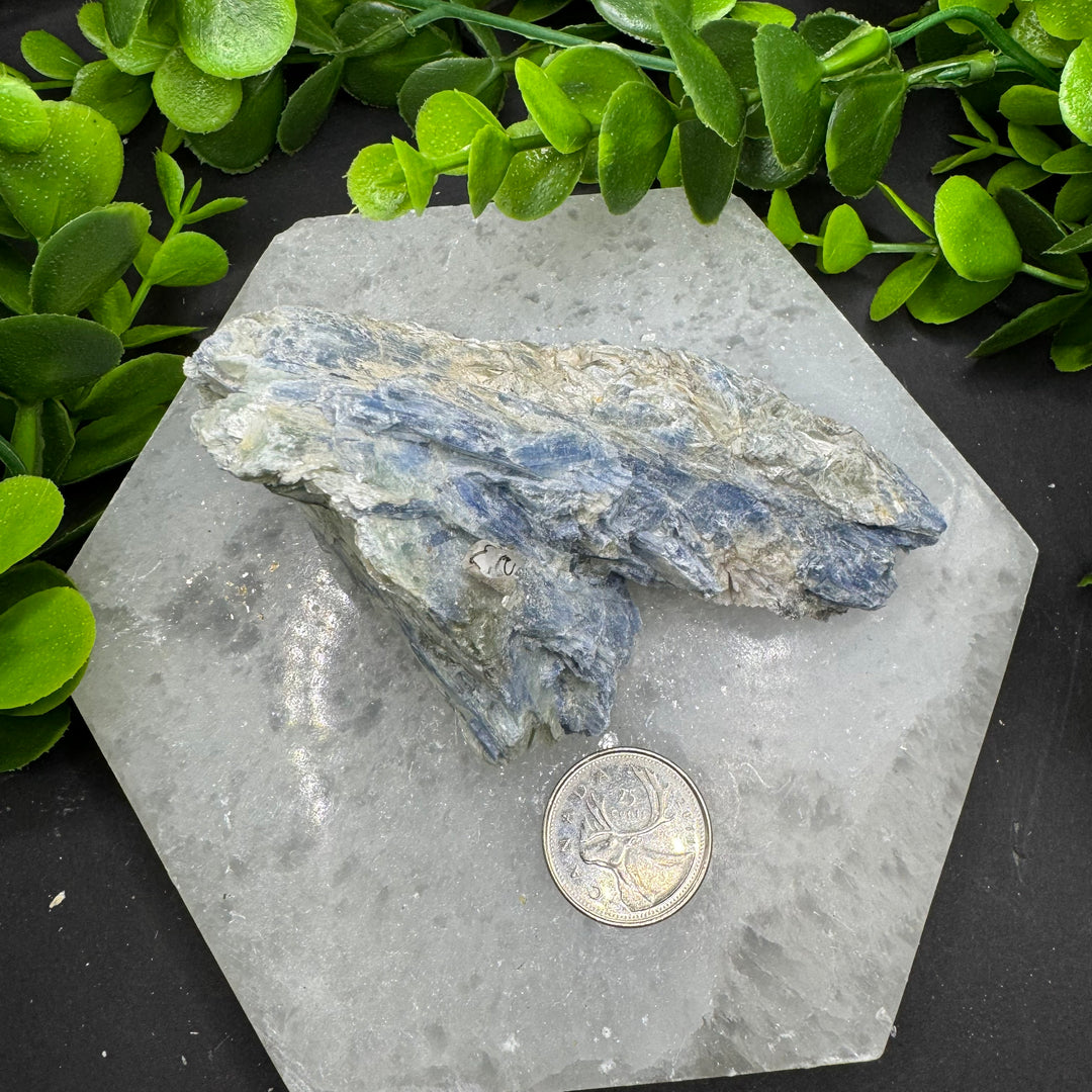 Blue Kyanite Cluster #14