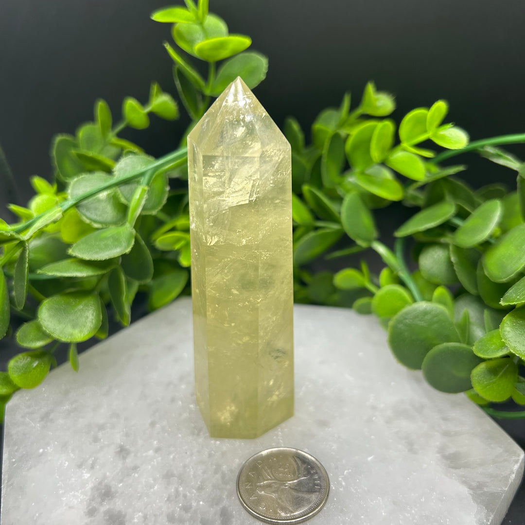 Lemon Quartz Polished Point (#1)