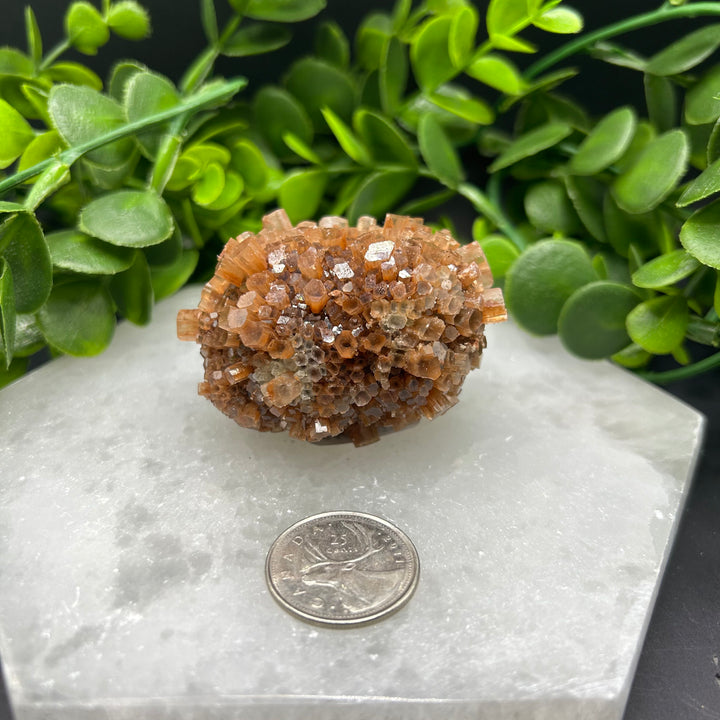 Aragonite Clusters (L)