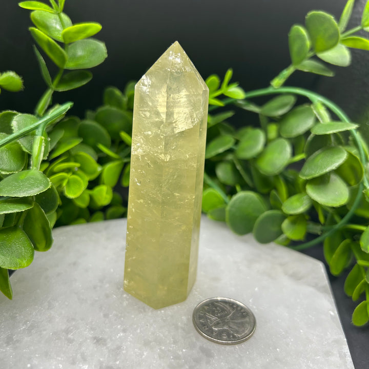 Lemon Quartz Polished Point (#1)