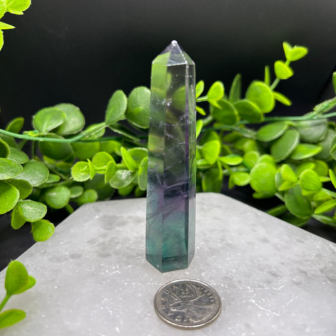 Fluorite Polished Point (#2)