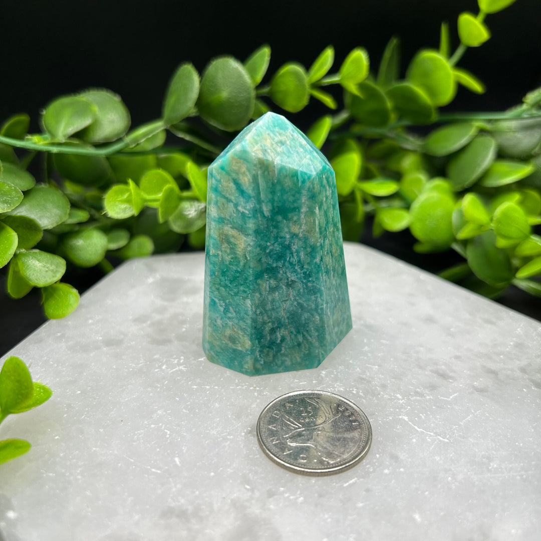 Amazonite Polished Point (#1)