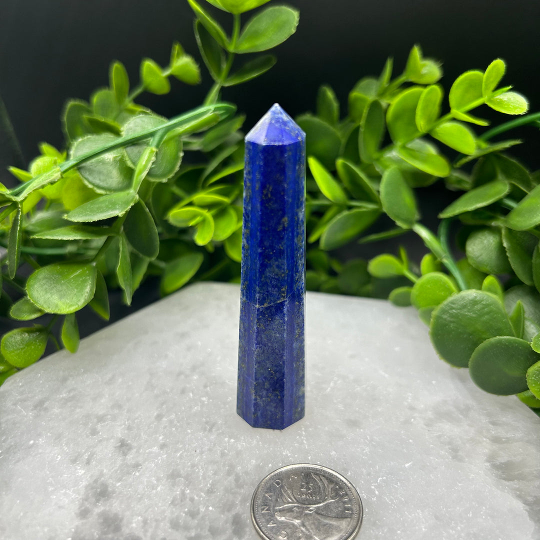 Lapis Lazuli Polished Point (#4)