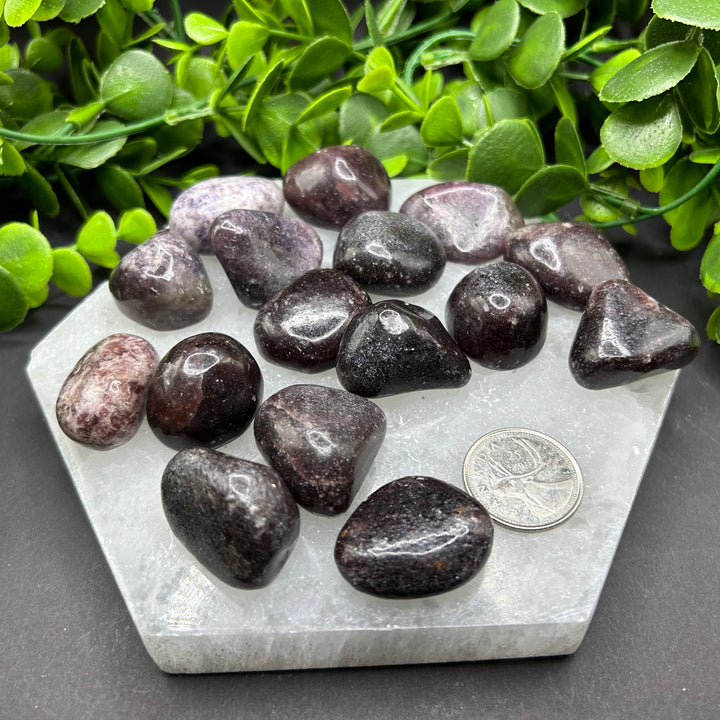 Dark Lepidolite Tumbled Stones