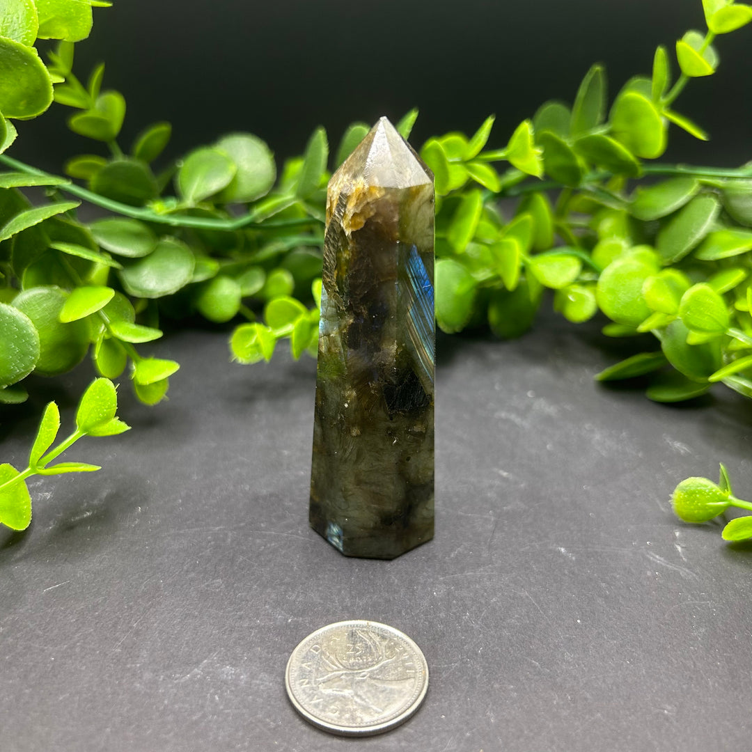 Labradorite Polished Point (#3)