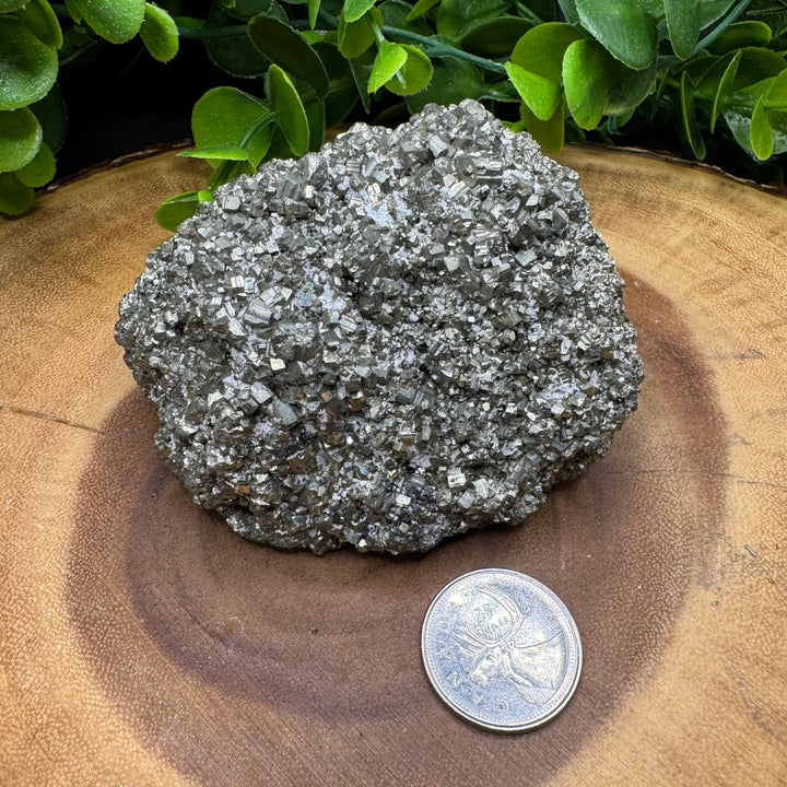 Pyrite Cluster #1 - 566g